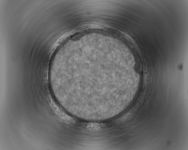 X0000115310938200911301532