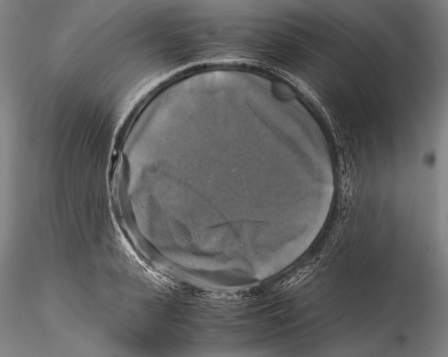 X0000115310943200911301532