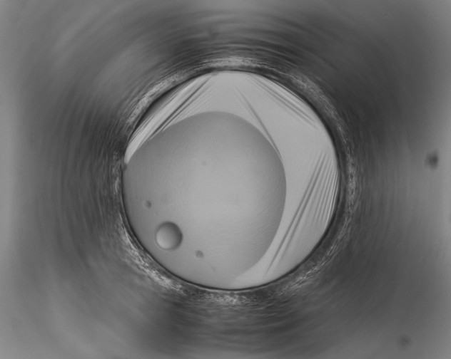 X0000115310945200911301532