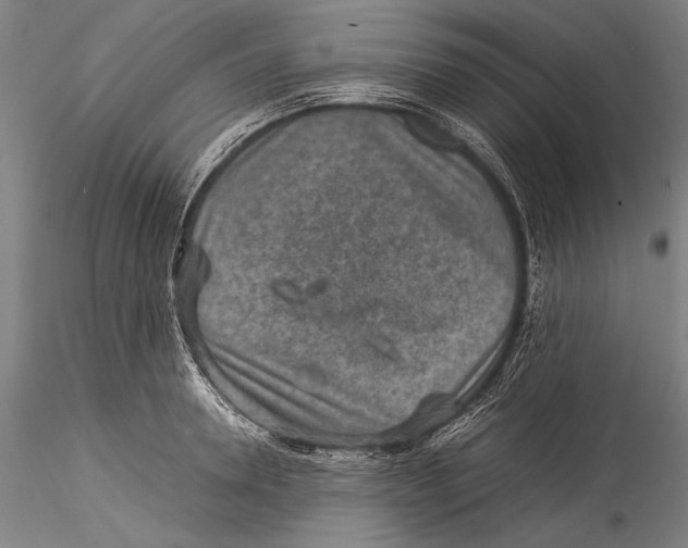 X0000115310946200911301532