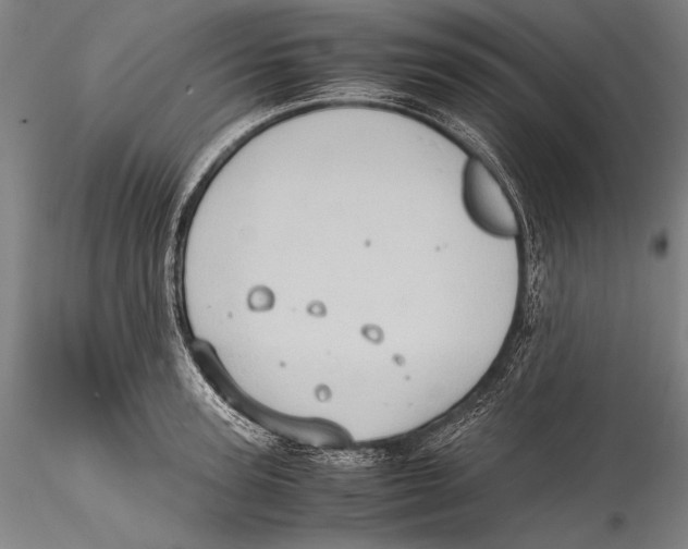 X0000115310947200911301532