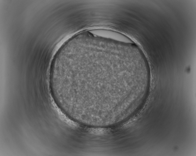 X0000115310949200911301532