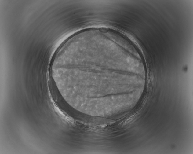 X0000115310951200911301532