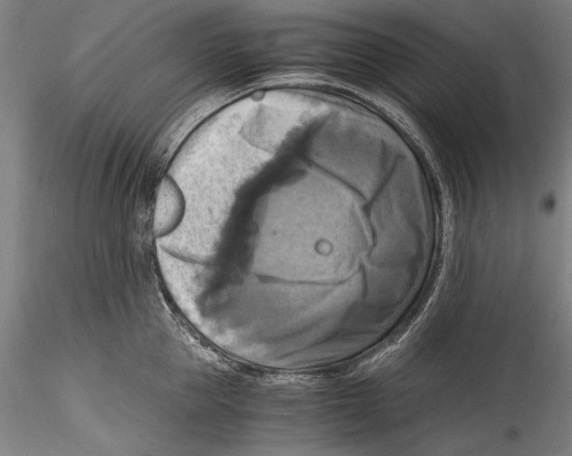 X0000115310953200911301532