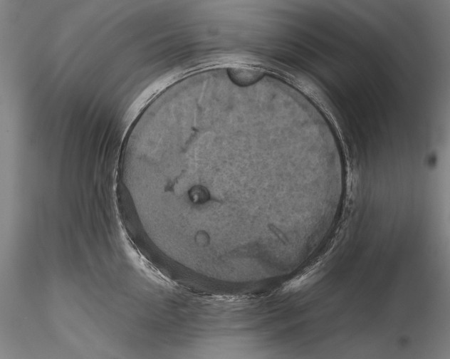 X0000115310954200911301532