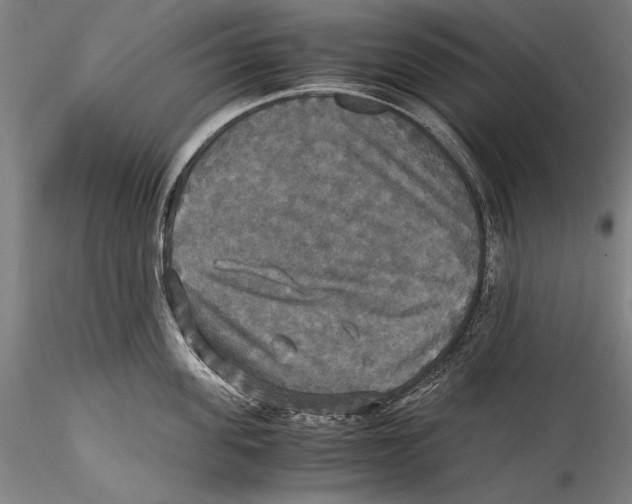 X0000115310955200911301532