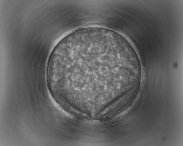 X0000115310957200911301532