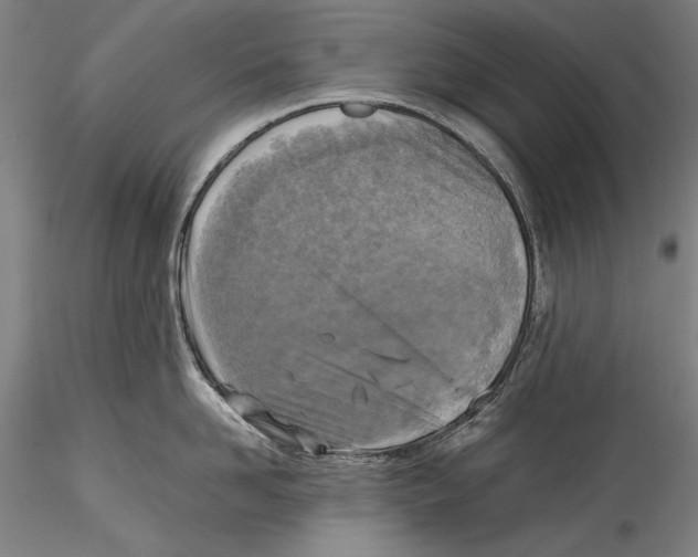 X0000115310958200911301532