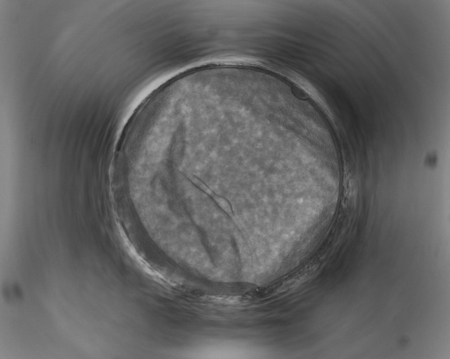 X0000115310959200911301533