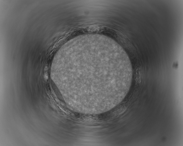 X0000115310962200911301532