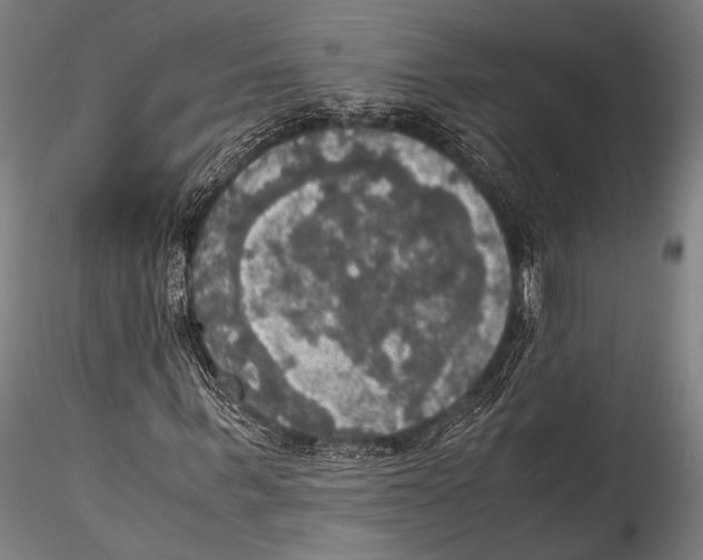 X0000115310963200911301532