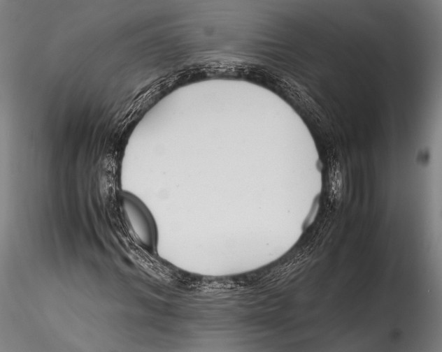 X0000115310964200911301532