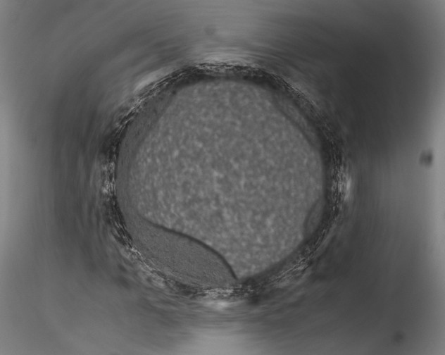 X0000115310965200911301532