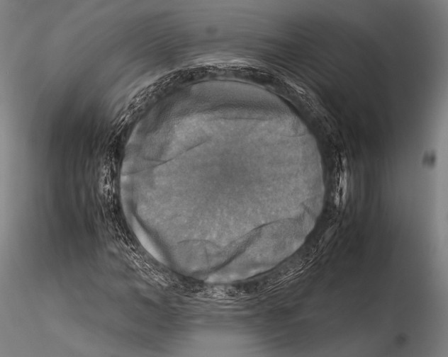 X0000115310966200911301532