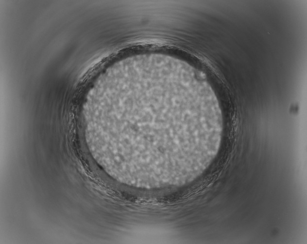 X0000115310967200911301532