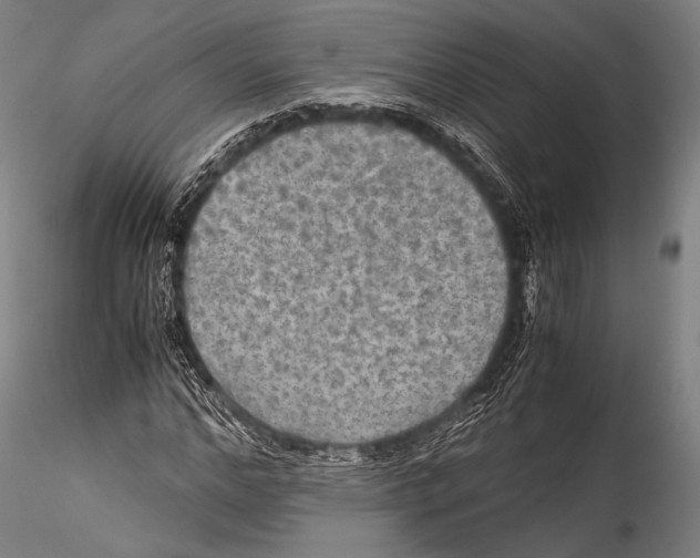 X0000115310968200911301532