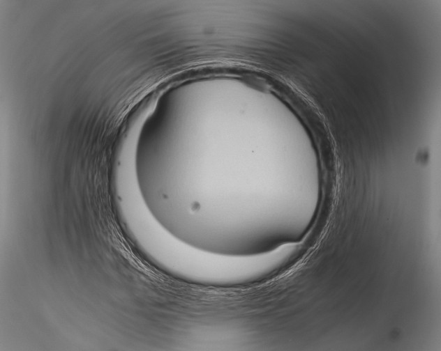 X0000115310969200911301532