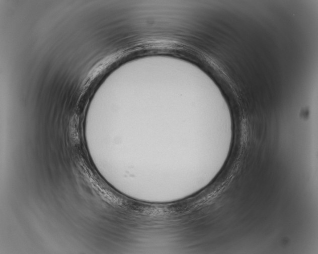 X0000115310970200911301532