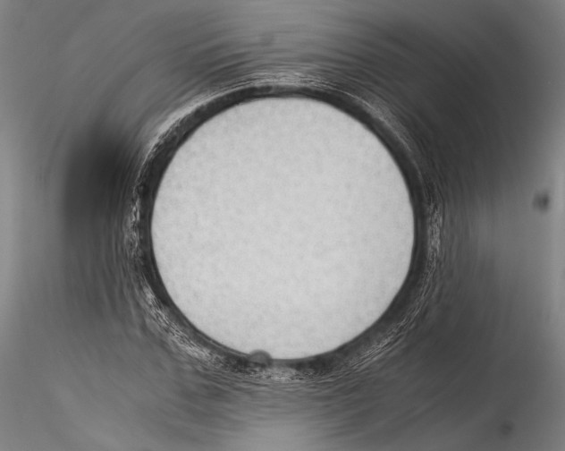 X0000115310971200911301532