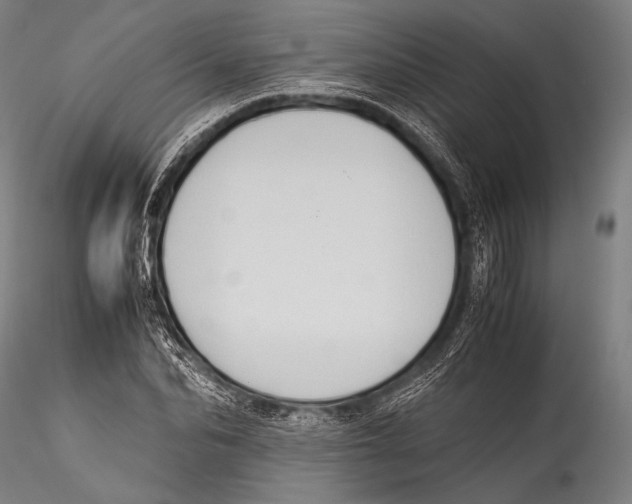 X0000115310974200911301532