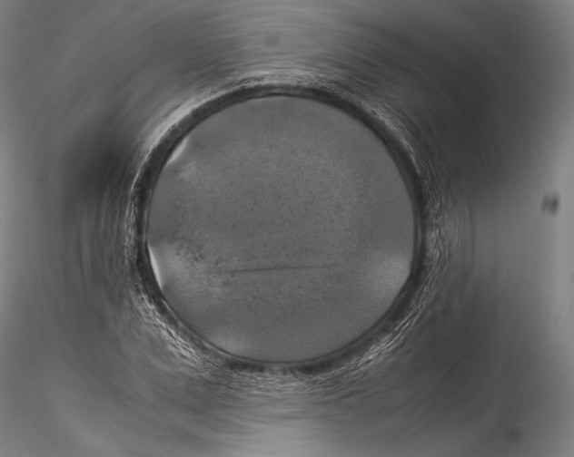 X0000115310975200911301532