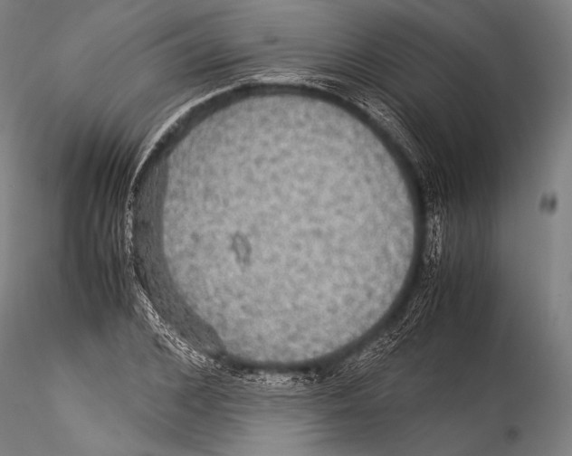 X0000115310976200911301532