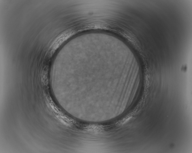 X0000115310977200911301532