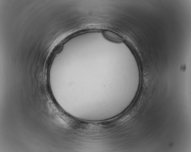 X0000115310981200911301532