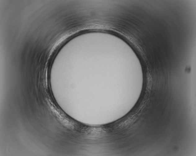 X0000115310982200911301532