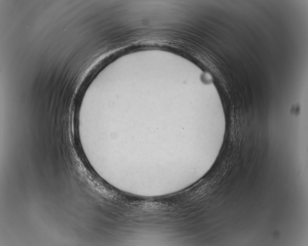 X0000115310984200911301532