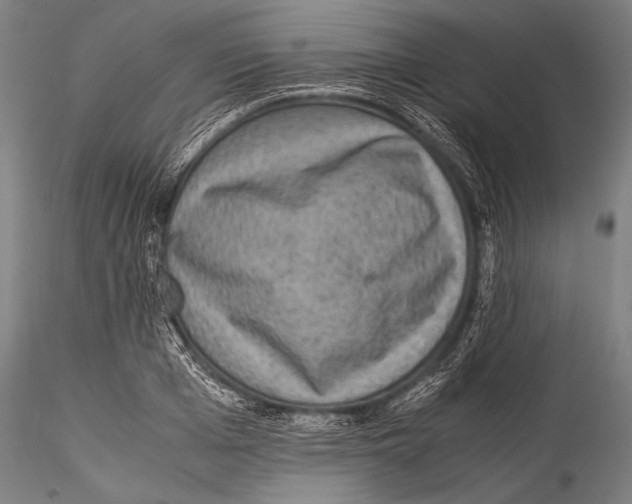 X0000115310985200911301532