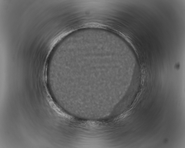 X0000115310987200911301531