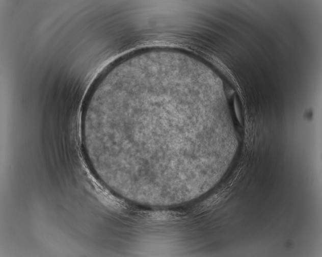 X0000115310988200911301531