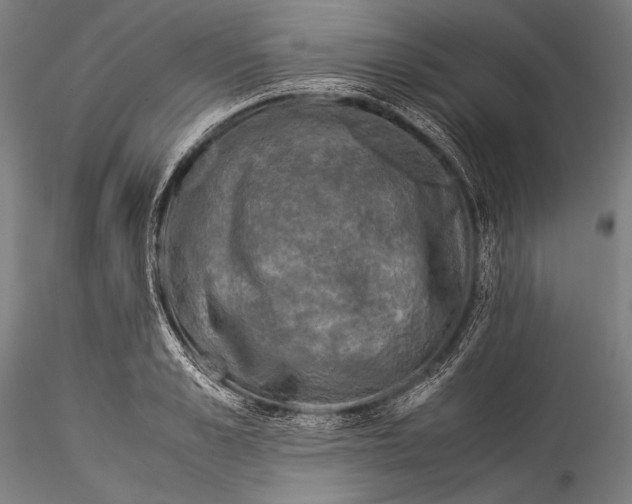 X0000115310989200911301531