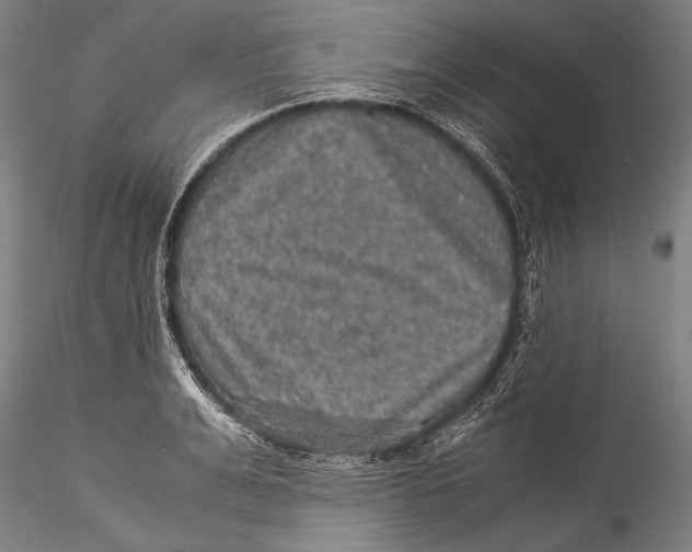 X0000115310991200911301531