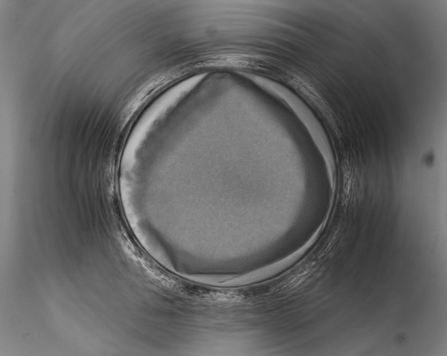 X0000115310994200911301531