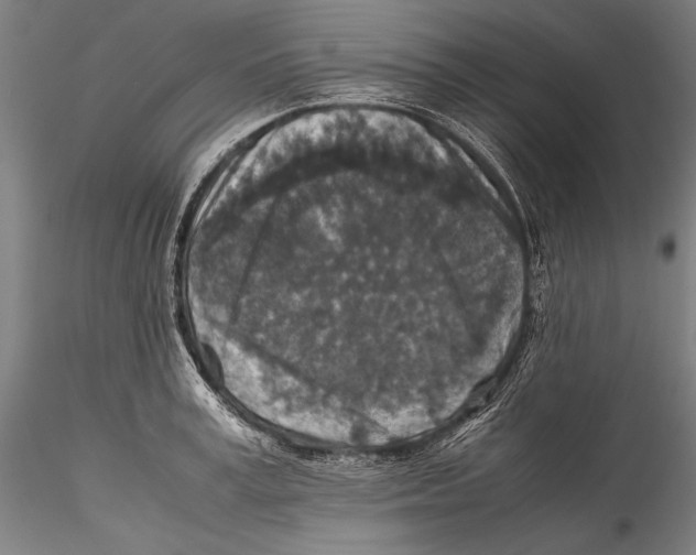 X0000115310995200911301531