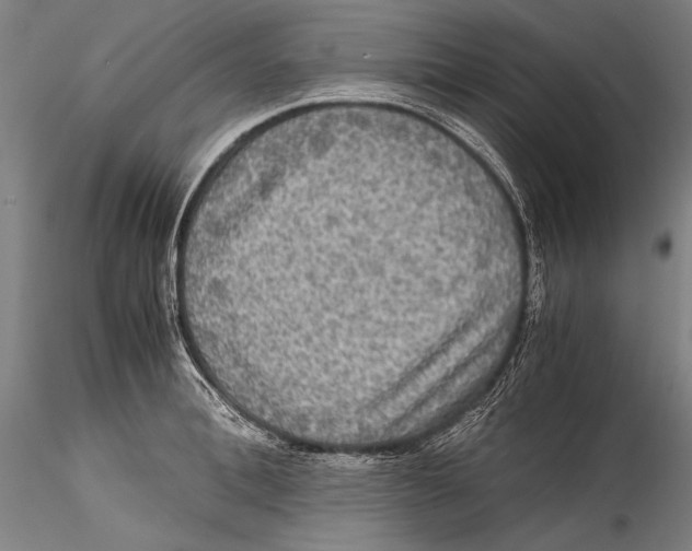 X0000115310996200911301531