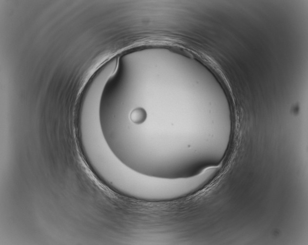 X0000115310997200911301531