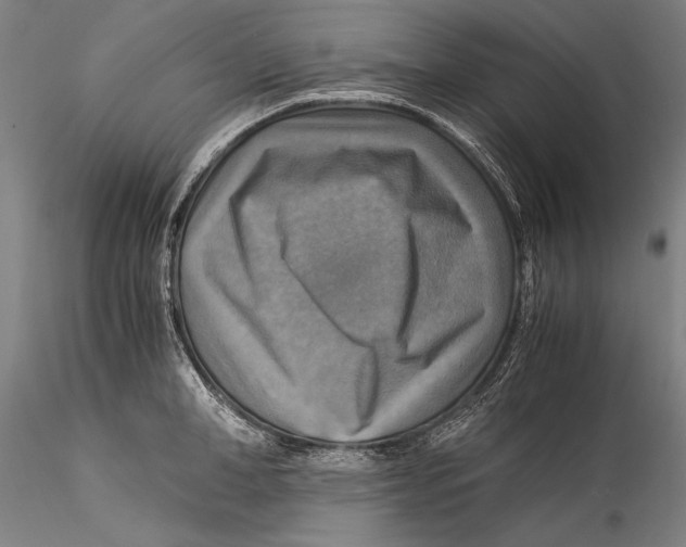 X0000115310998200911301531