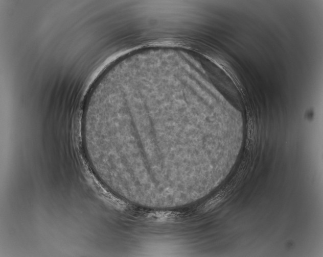 X0000115311000200911301531