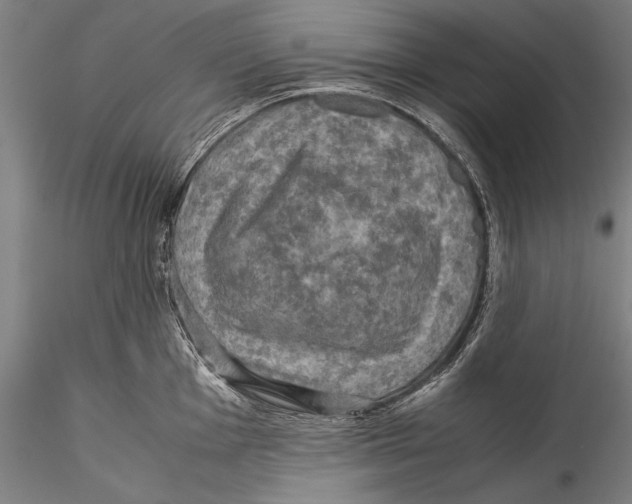 X0000115311001200911301531