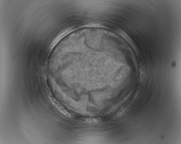 X0000115311002200911301531