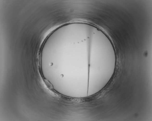 X0000115311003200911301531