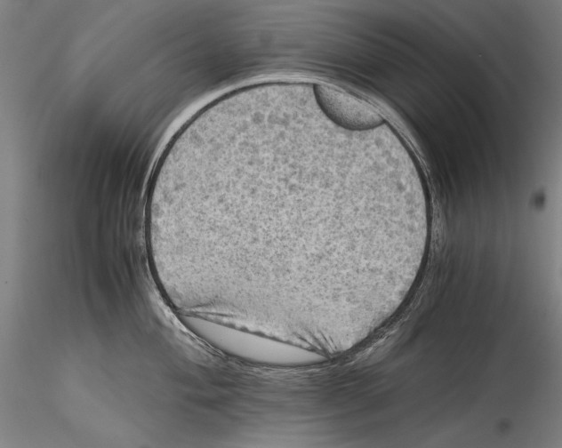 X0000115311004200911301531