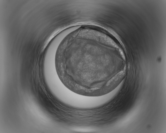 X0000115311005200911301531