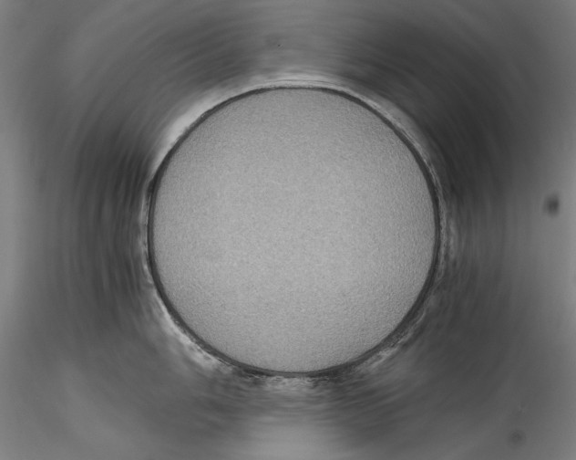 X0000115311006200911301531