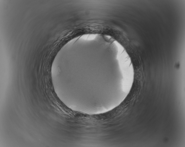 X0000115311009200911301530