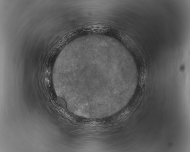 X0000115311010200911301530