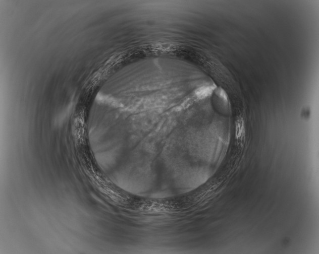 X0000115311011200911301530